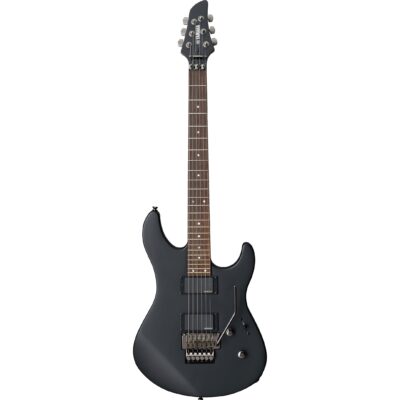 Electric Guitar RGX420DZII  SATIN...