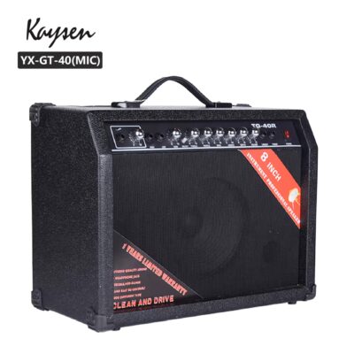 Kaysen RX-TG-40 (MIC) Acoustic electric guitar amplifier with mic function