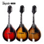Tayste T-MA1 Acoustic Mandolin With Bag