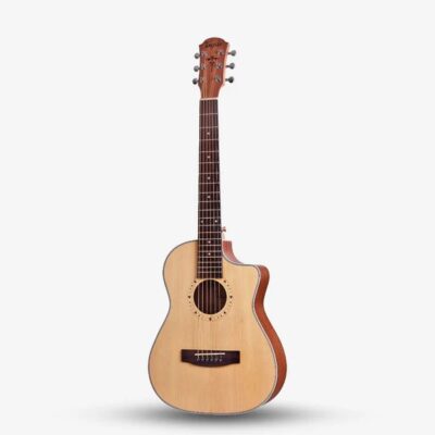 Tayste TS-10  34″ Acoustic Guitar With Bag