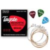 Tayste TSA-012 Acoustic Guitar With String Set & Pics