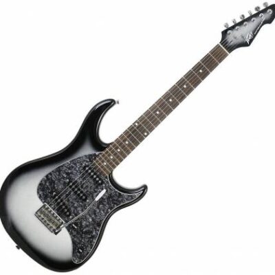 Peavey Raptor Custom Silverburst Electric...