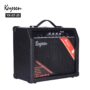 Kaysen RX-TG-25 Electric acoustic guitar amplifier 25W
